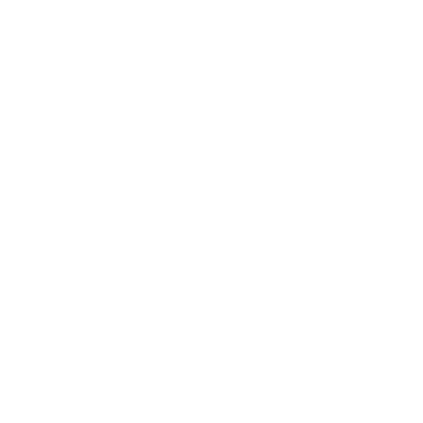 SE